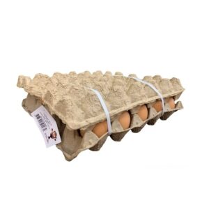 Huevos Rojo Tipo B x 30 und