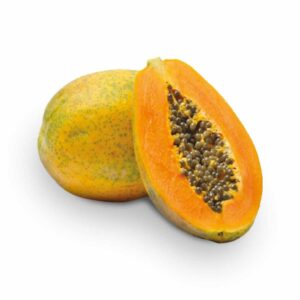 Papaya maradol x Lb